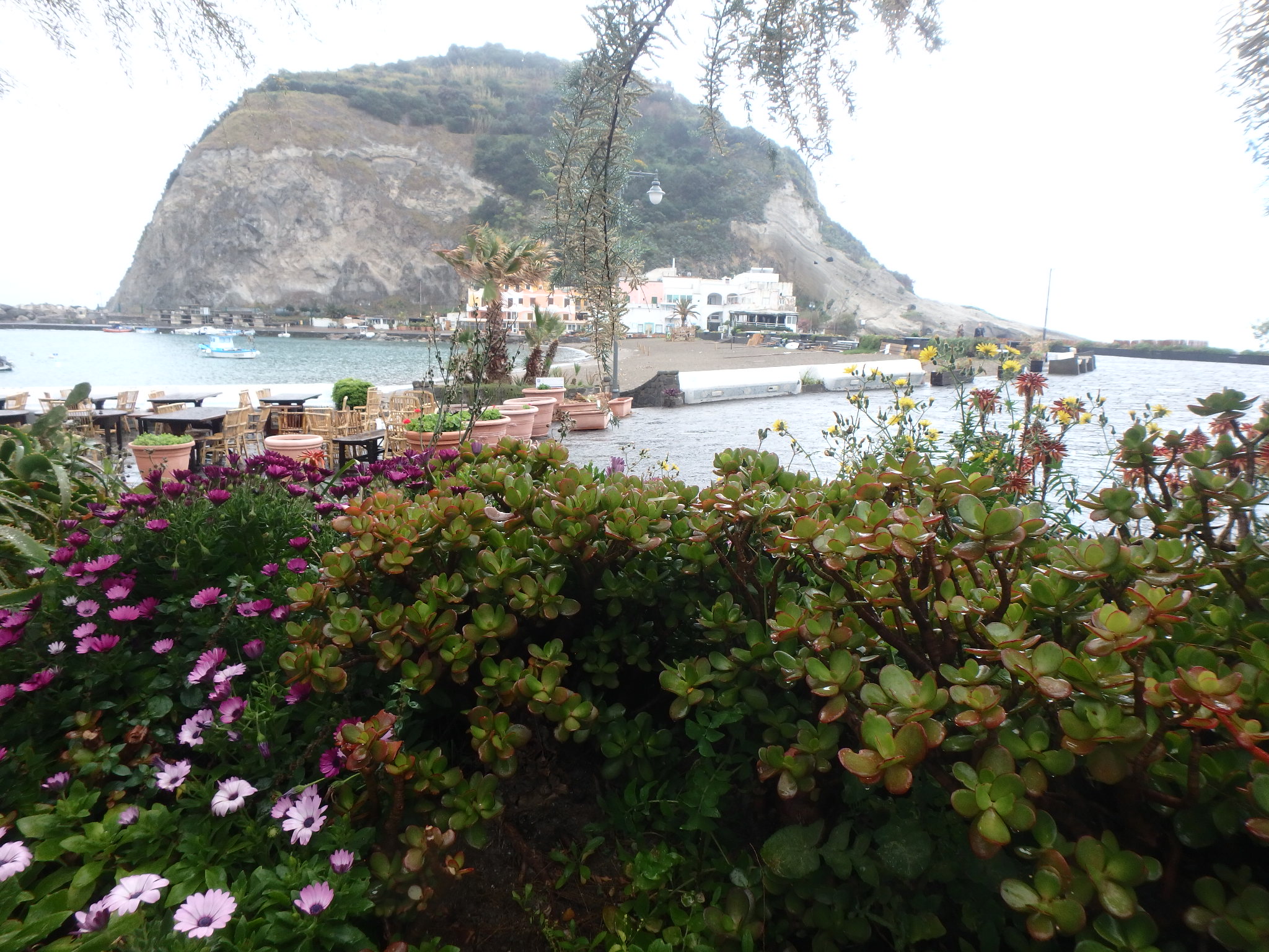 Aurea Prima Sata Est Aetas Aurea prima sata est… | Autobi passabant completi